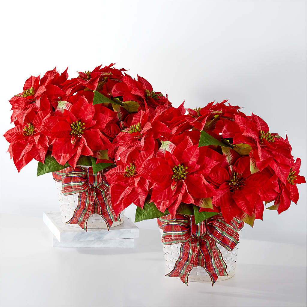 Happiest Holidays Poinsettia Bundle – East End Flowers And Gifts Inc, Hensley AR