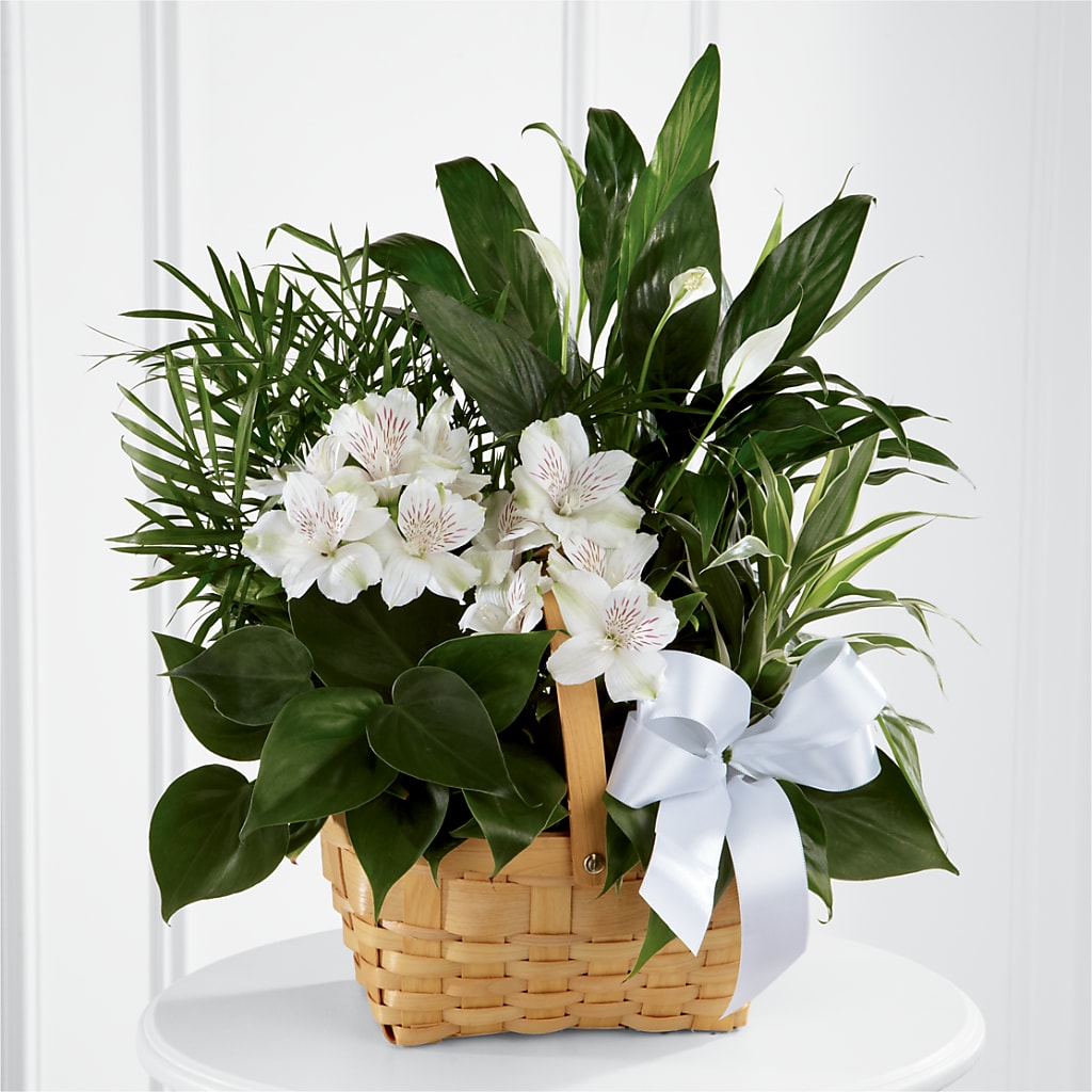 Peace & Serenity Dishgarden – East End Flowers And Gifts Inc, Hensley AR
