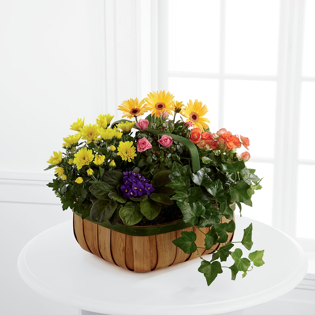 Gentle Blossoms Basket – East End Flowers And Gifts Inc, Hensley AR