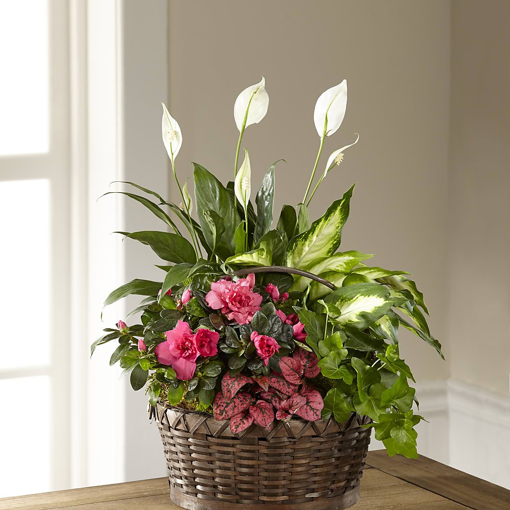 Dream in Pink Dishgarden – East End Flowers And Gifts Inc, Hensley AR