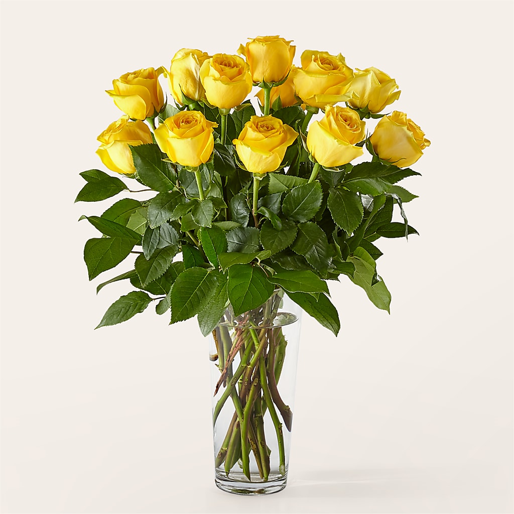 Long Stem Yellow Rose Bouquet – East End Flowers And Gifts Inc, Hensley AR