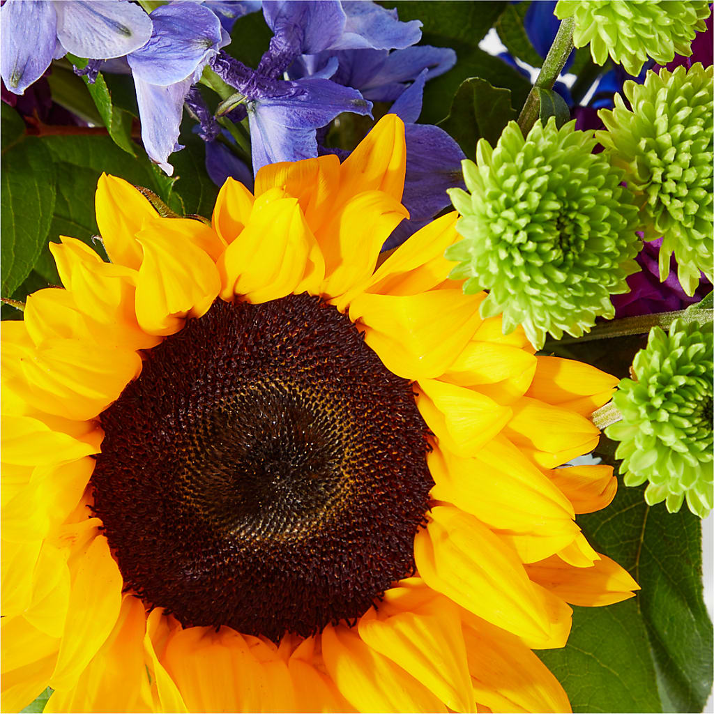 Catching Rays Bouquet – East End Flowers And Gifts Inc, Hensley AR