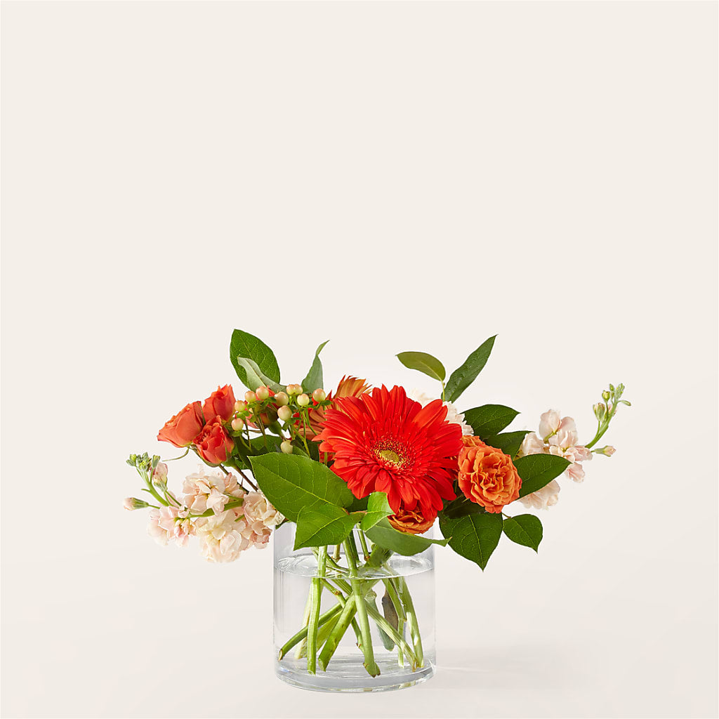 Paloma Please Bouquet – East End Flowers And Gifts Inc, Hensley AR