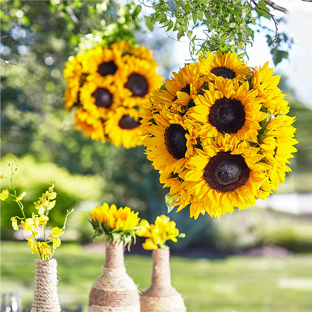 Sublime Garden Hanging Arrangement – East End Flowers And Gifts Inc, Hensley AR