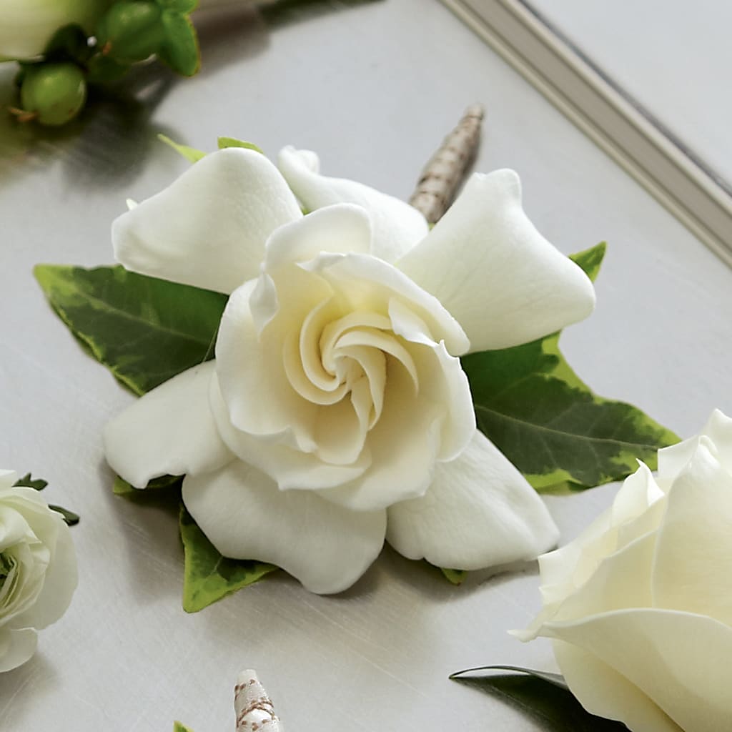 Gardenia Boutonniere – East End Flowers And Gifts Inc, Hensley AR