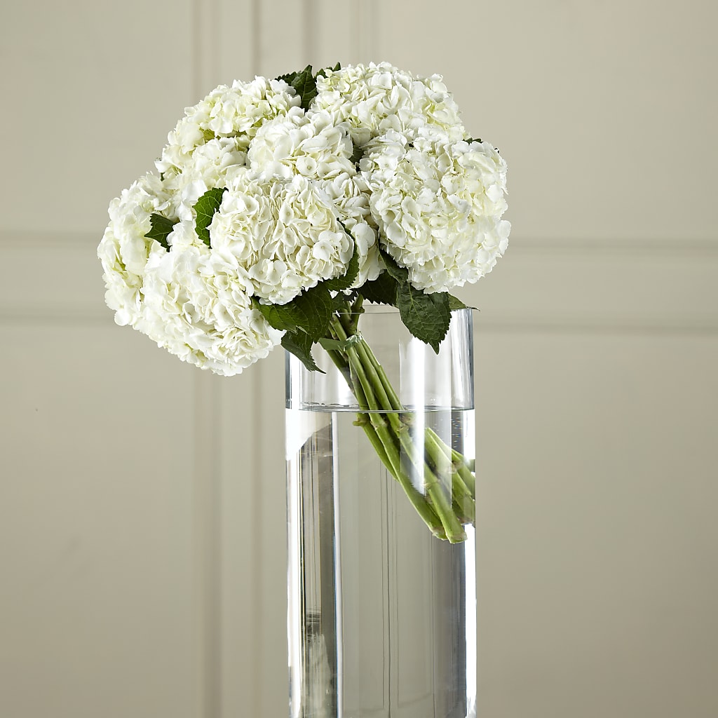 White Hydrangea Hand-Tied Bouquet – East End Flowers And Gifts Inc, Hensley AR