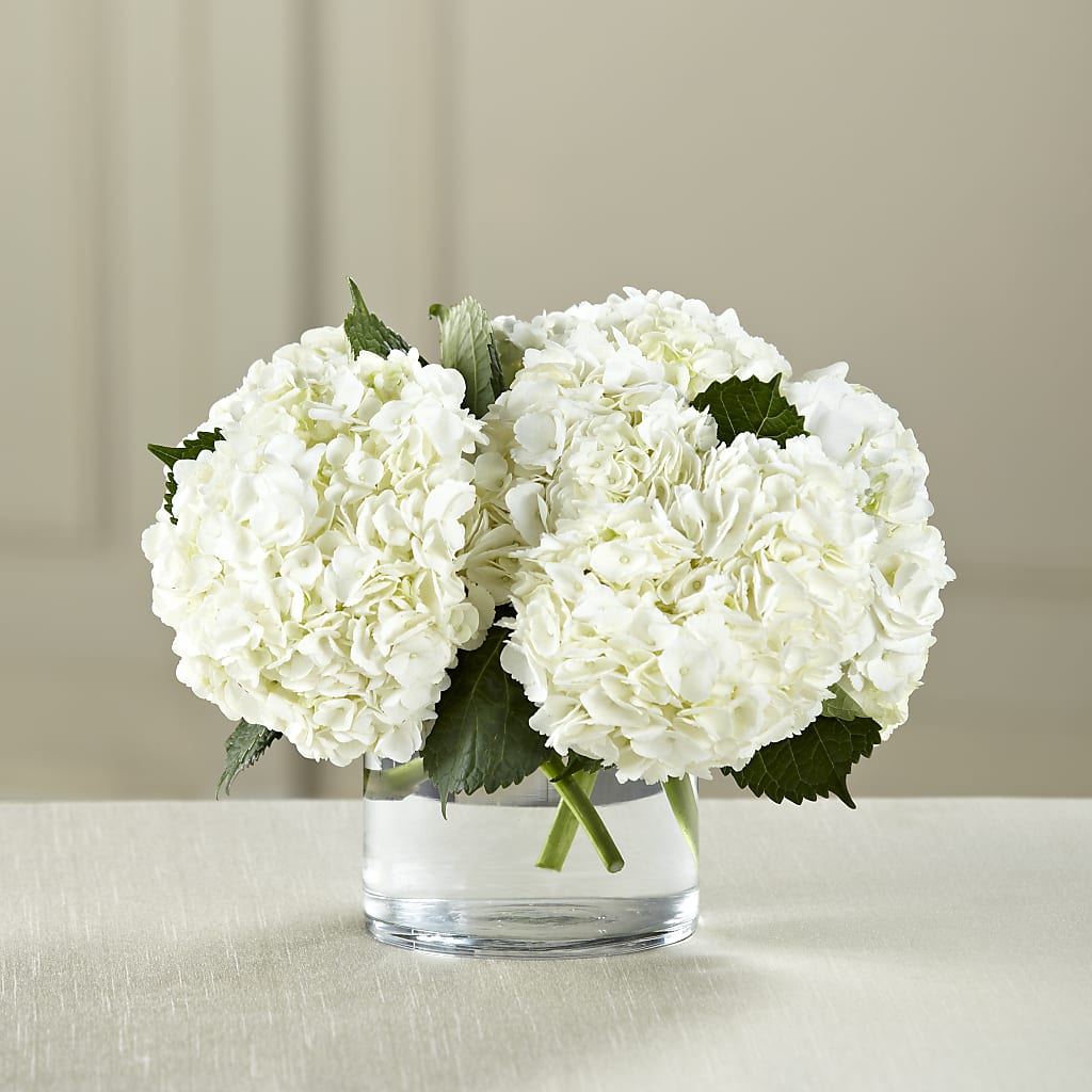 White Hydrangea Bouquet – East End Flowers And Gifts Inc, Hensley AR