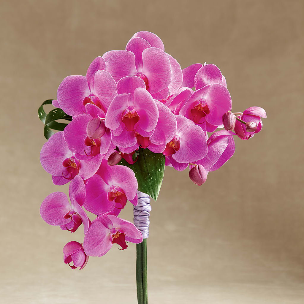 Glorious Bouquet – East End Flowers And Gifts Inc, Hensley AR