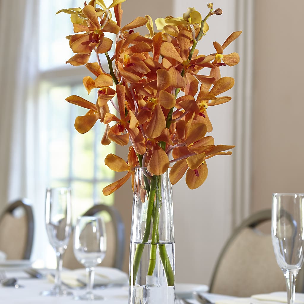 Orange Mokara Bud Vase – East End Flowers And Gifts Inc, Hensley AR