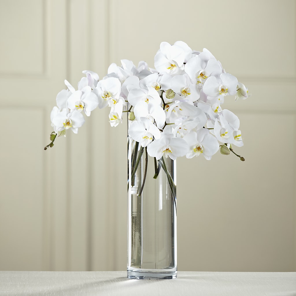 White Phalaenopsis Bouquet – East End Flowers And Gifts Inc, Hensley AR