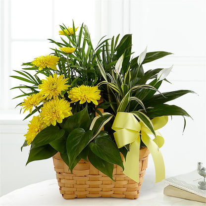 Loving Light Dishgarden –  East End Flowers And Gifts Inc, Hensley AR