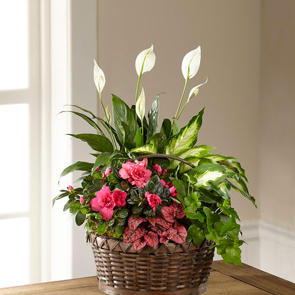 Dream in Pink Dishgarden –  East End Flowers And Gifts Inc, Hensley AR