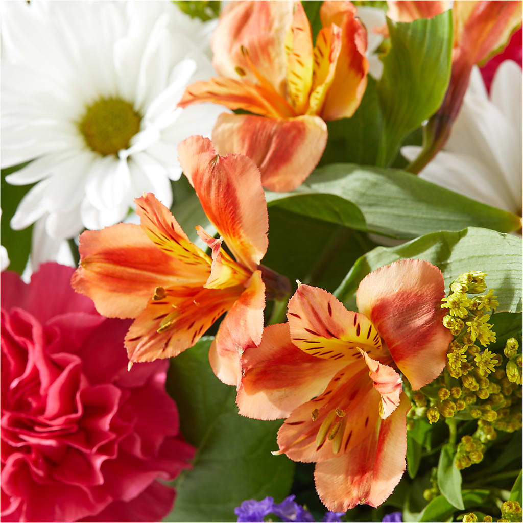 Oopsie Daisy Box Bouquet –  East End Flowers And Gifts Inc, Hensley AR