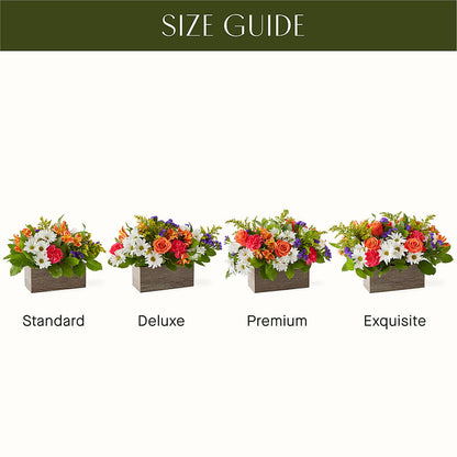 Oopsie Daisy Box Bouquet –  East End Flowers And Gifts Inc, Hensley AR