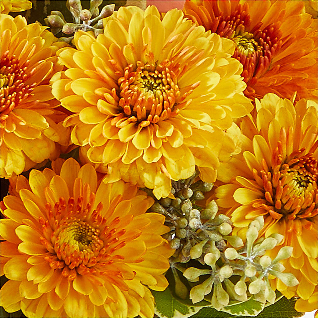 Peachy Pumpkin –  East End Flowers And Gifts Inc, Hensley AR