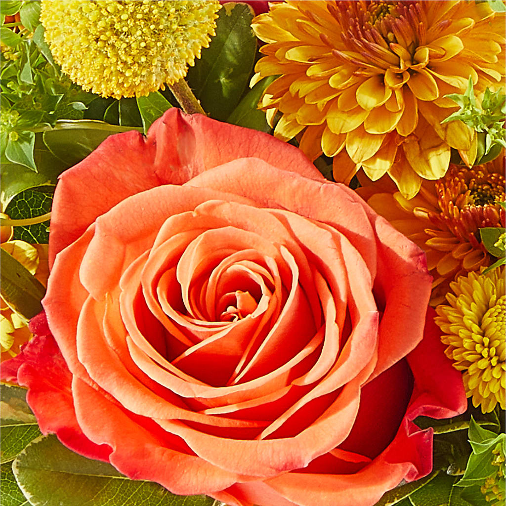 Gourdgeous Pumpkin –  East End Flowers And Gifts Inc, Hensley AR