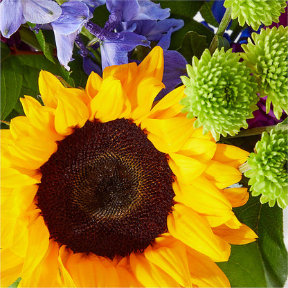 Catching Rays Bouquet –  East End Flowers And Gifts Inc, Hensley AR