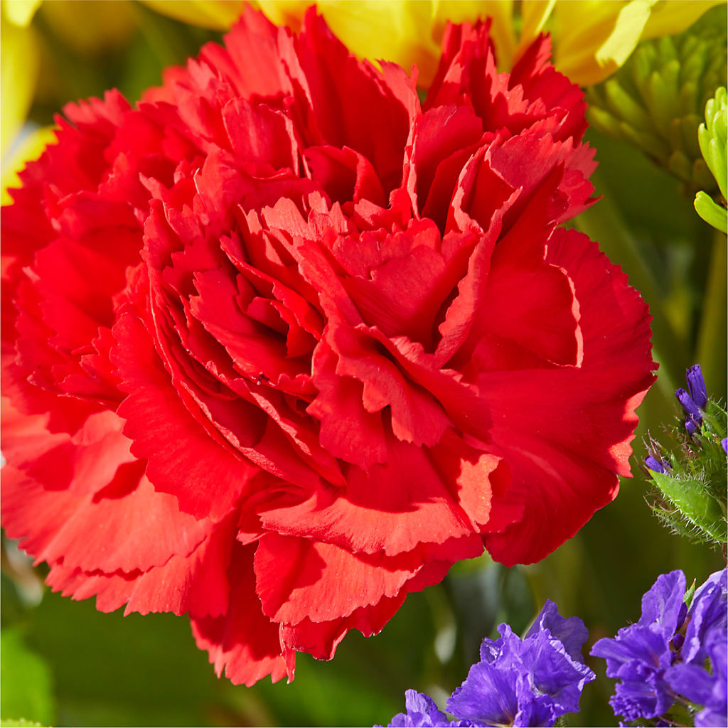 Brighter Days Bouquet –  East End Flowers And Gifts Inc, Hensley AR
