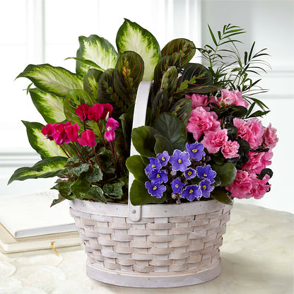 Peaceful Garden Planter –  East End Flowers And Gifts Inc, Hensley AR