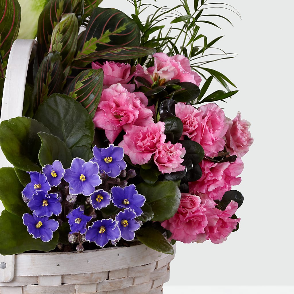 Peaceful Garden Planter –  East End Flowers And Gifts Inc, Hensley AR