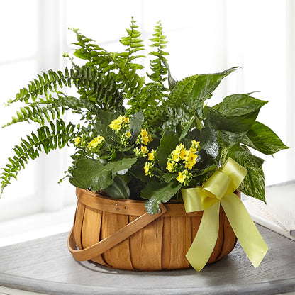 Always Dear Dishgarden –  East End Flowers And Gifts Inc, Hensley AR