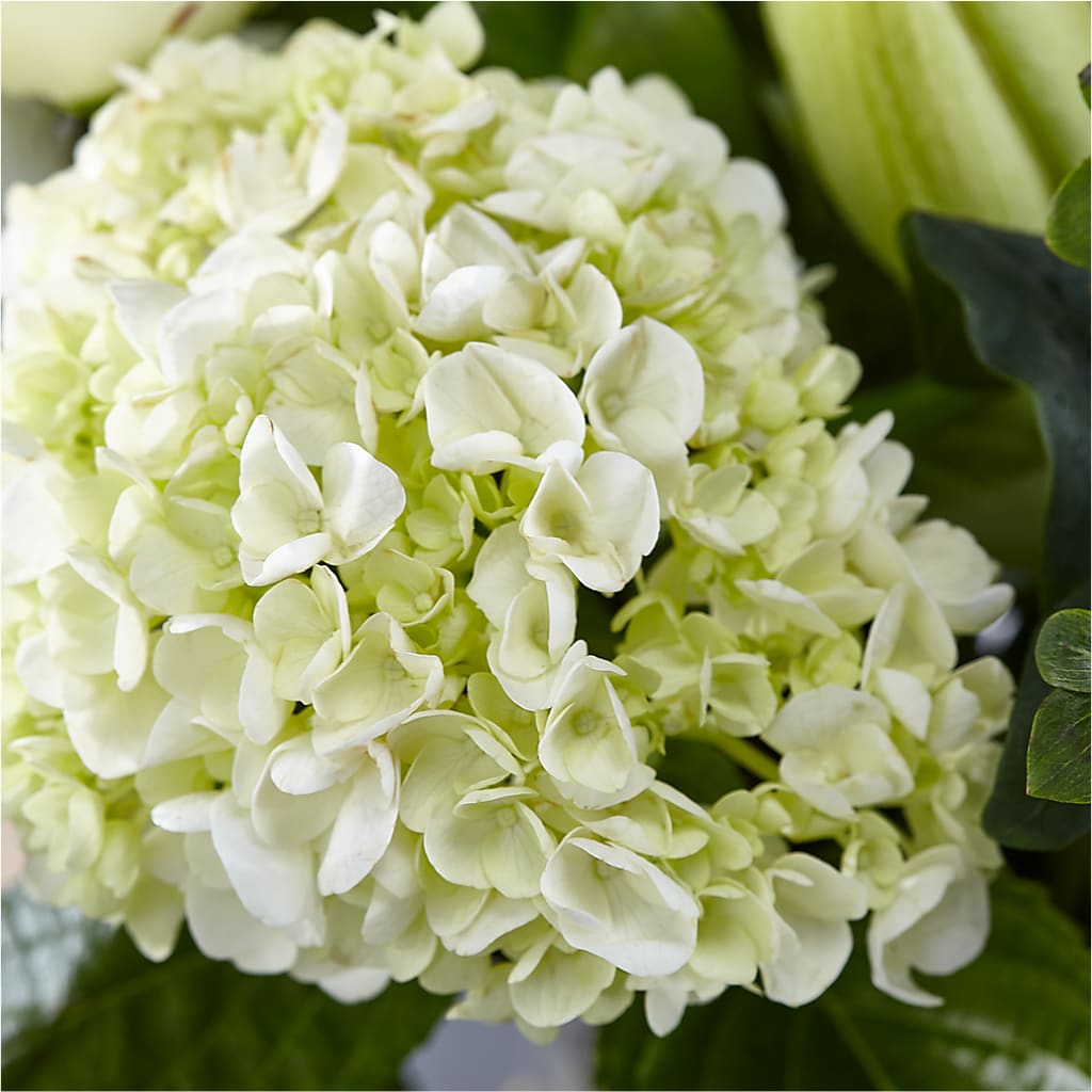 Classic Ivory – A Florist Original –  East End Flowers And Gifts Inc, Hensley AR
