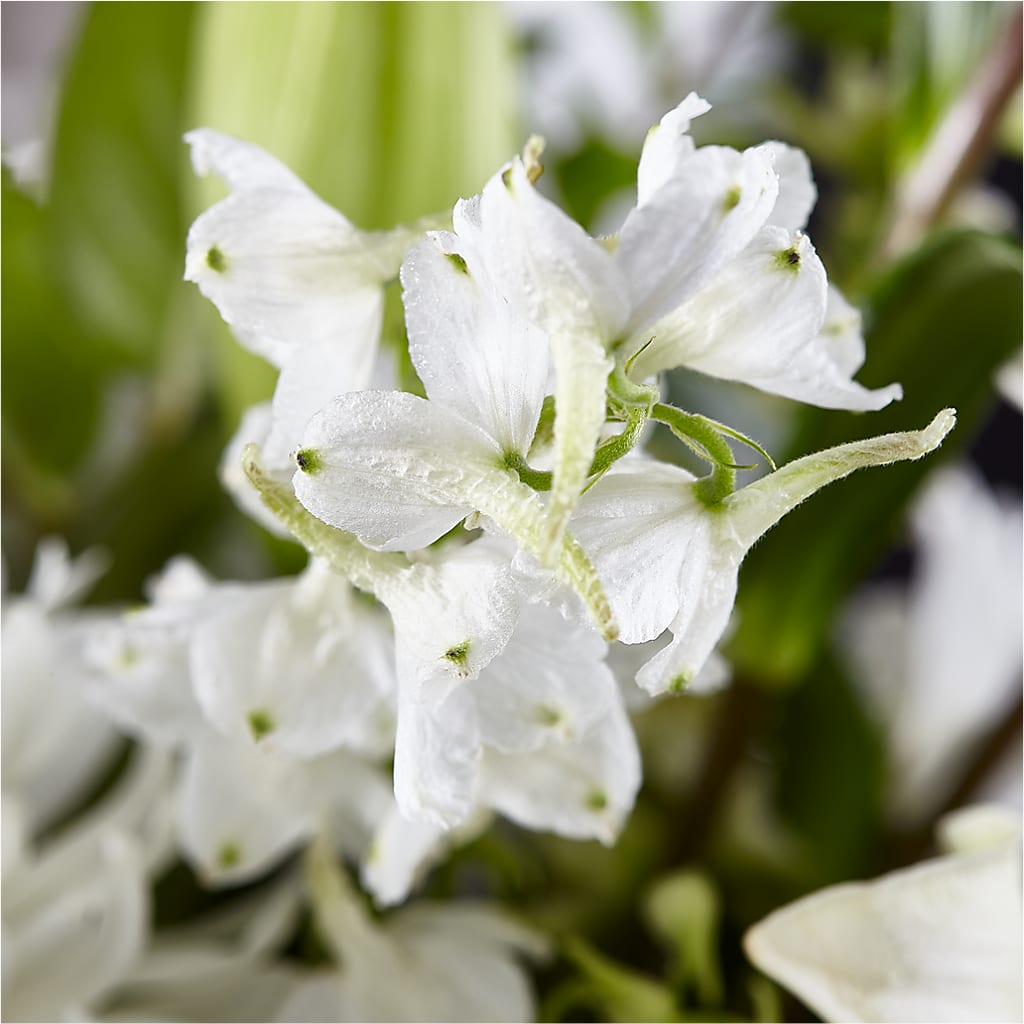 Classic Ivory – A Florist Original –  East End Flowers And Gifts Inc, Hensley AR
