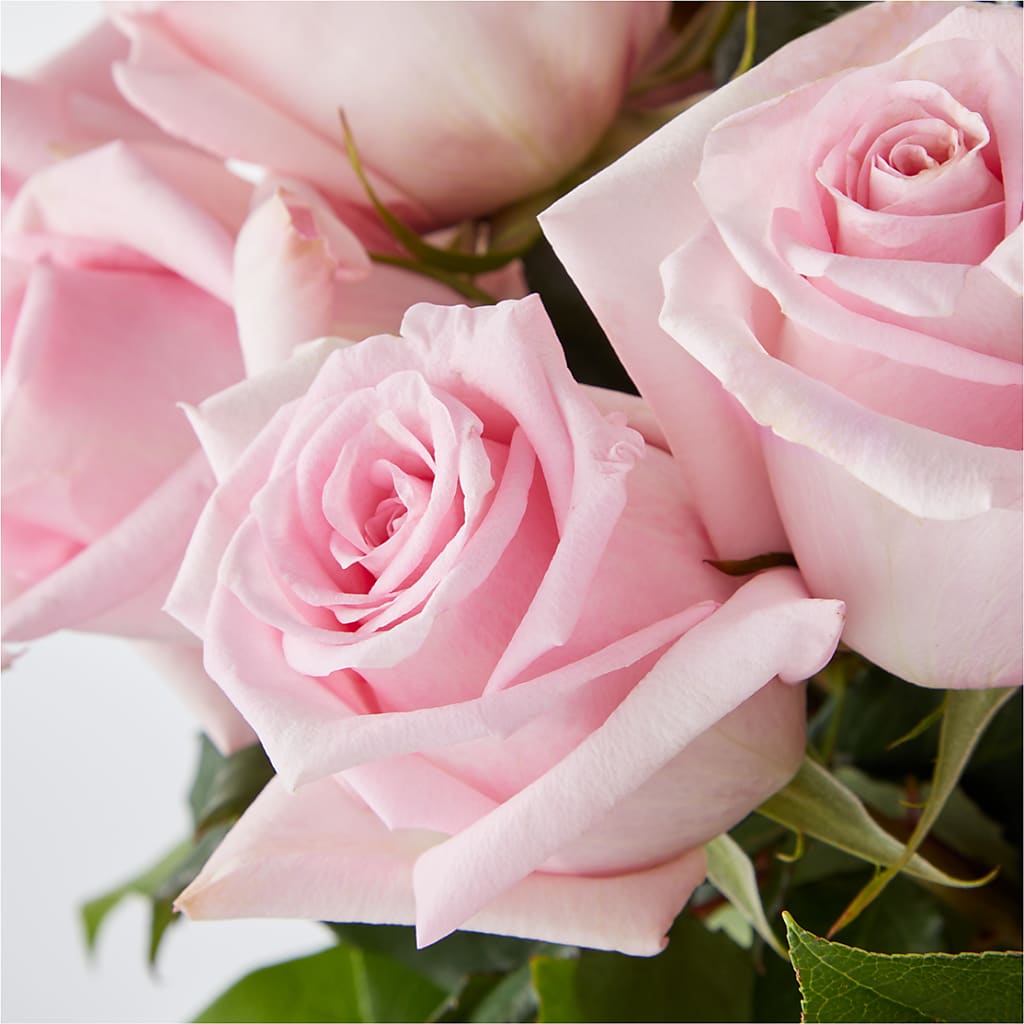 Picture Perfect Pink Rose Bouquet –  East End Flowers And Gifts Inc, Hensley AR