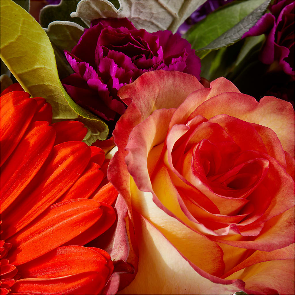 Sangria Bouquet –  East End Flowers And Gifts Inc, Hensley AR