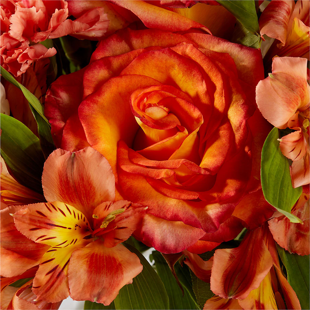 Apricot Glow Bouquet –  East End Flowers And Gifts Inc, Hensley AR