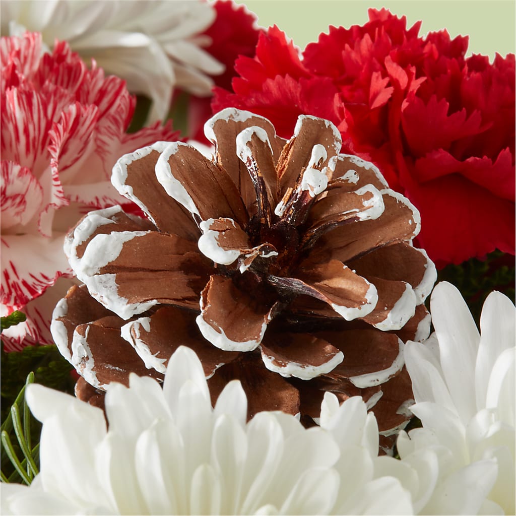 Candy Cane Lane Bouquet –  East End Flowers And Gifts Inc, Hensley AR