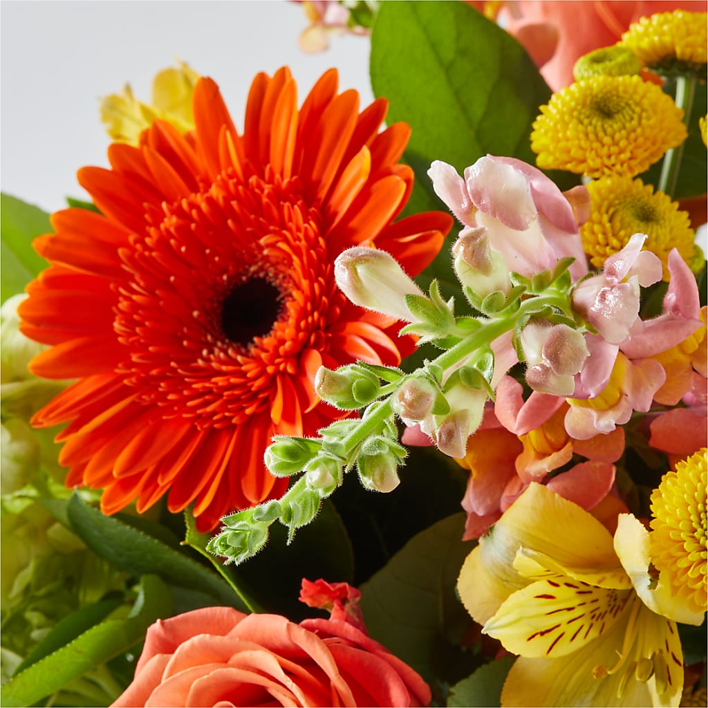 Autumn Sunshine Bouquet –  East End Flowers And Gifts Inc, Hensley AR