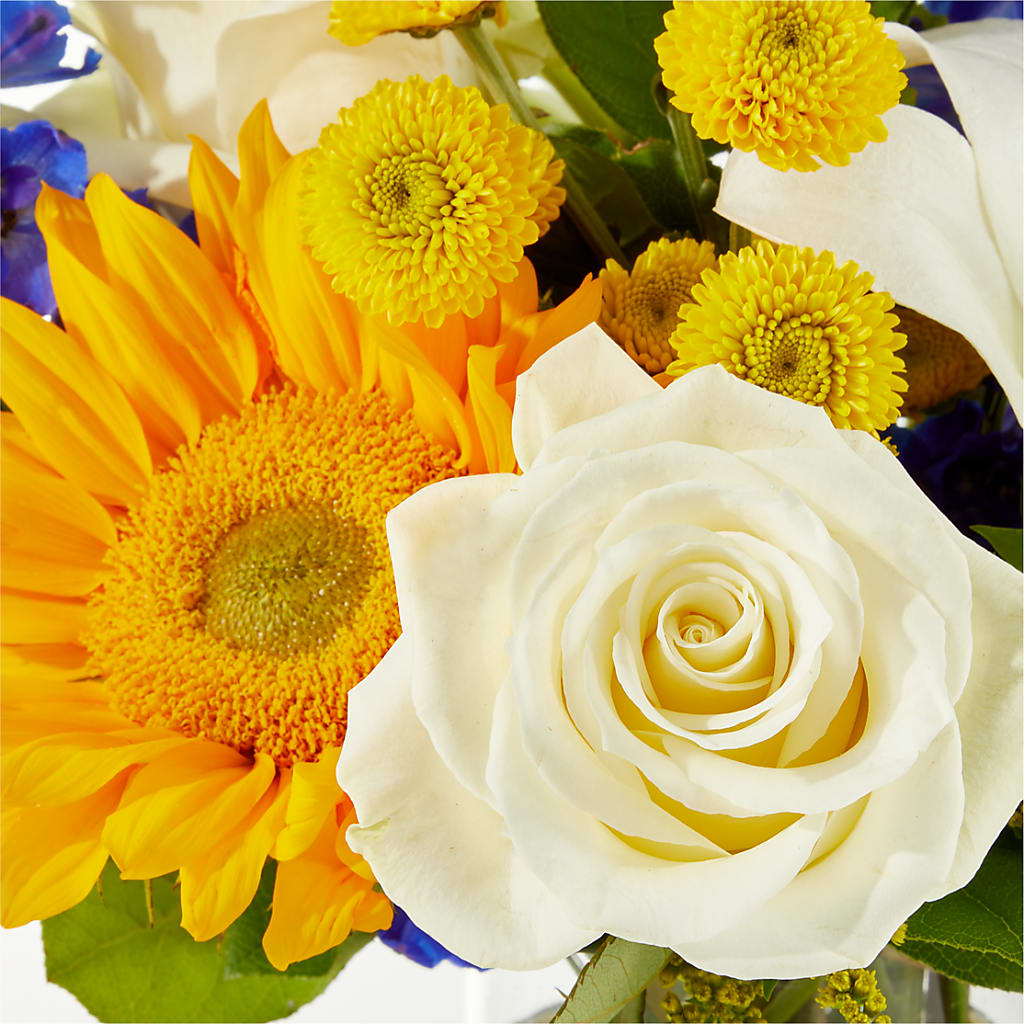 Stargazing Bouquet –  East End Flowers And Gifts Inc, Hensley AR