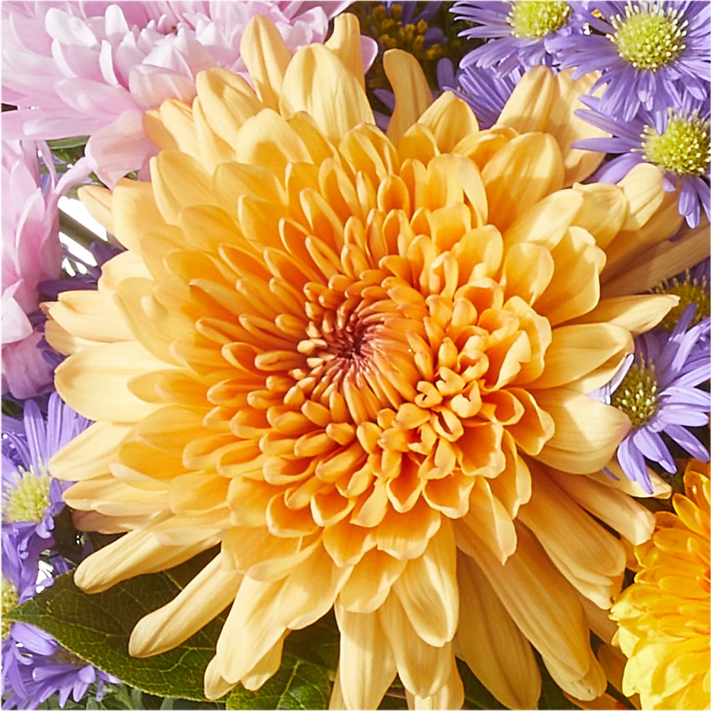 Countryside Bouquet –  East End Flowers And Gifts Inc, Hensley AR