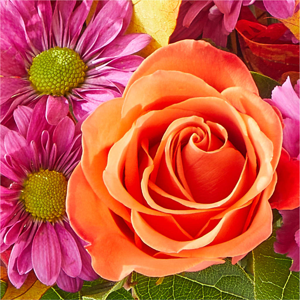 Mum's the Word Bouquet –  East End Flowers And Gifts Inc, Hensley AR