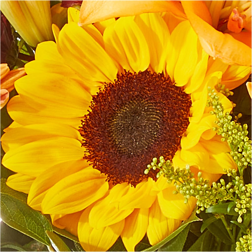 Seasons Change Bouquet –  East End Flowers And Gifts Inc, Hensley AR