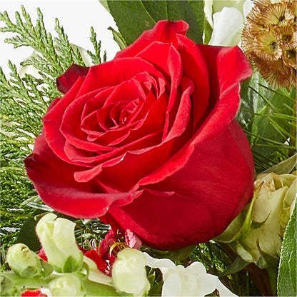 Deck the Halls Bouquet –  East End Flowers And Gifts Inc, Hensley AR
