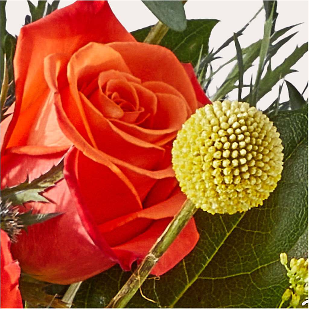 Disco Bouquet –  East End Flowers And Gifts Inc, Hensley AR
