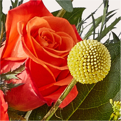 Disco Bouquet –  East End Flowers And Gifts Inc, Hensley AR