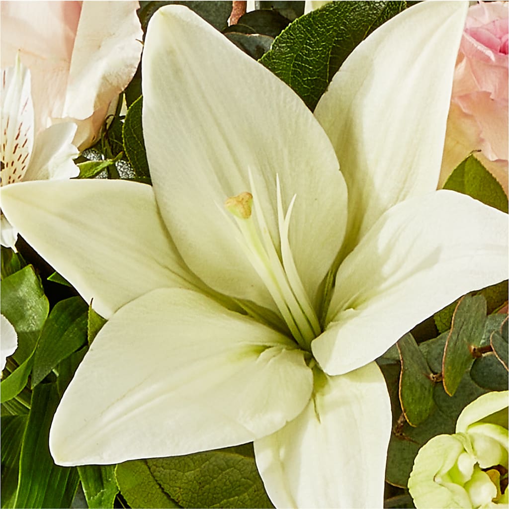 Ballet Slippers Bouquet –  East End Flowers And Gifts Inc, Hensley AR