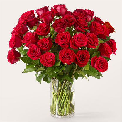 The One Red Rose Bouquet –  East End Flowers And Gifts Inc, Hensley AR