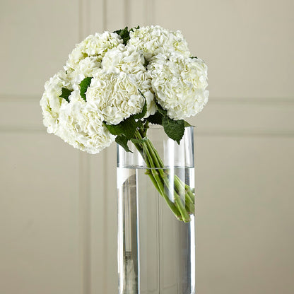 White Hydrangea Hand-Tied Bouquet –  East End Flowers And Gifts Inc, Hensley AR