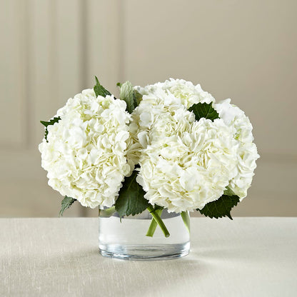 White Hydrangea Bouquet –  East End Flowers And Gifts Inc, Hensley AR