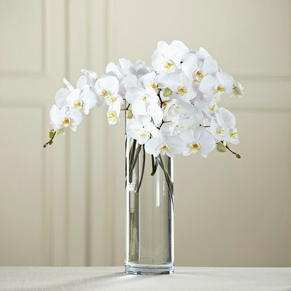 White Phalaenopsis Bouquet –  East End Flowers And Gifts Inc, Hensley AR